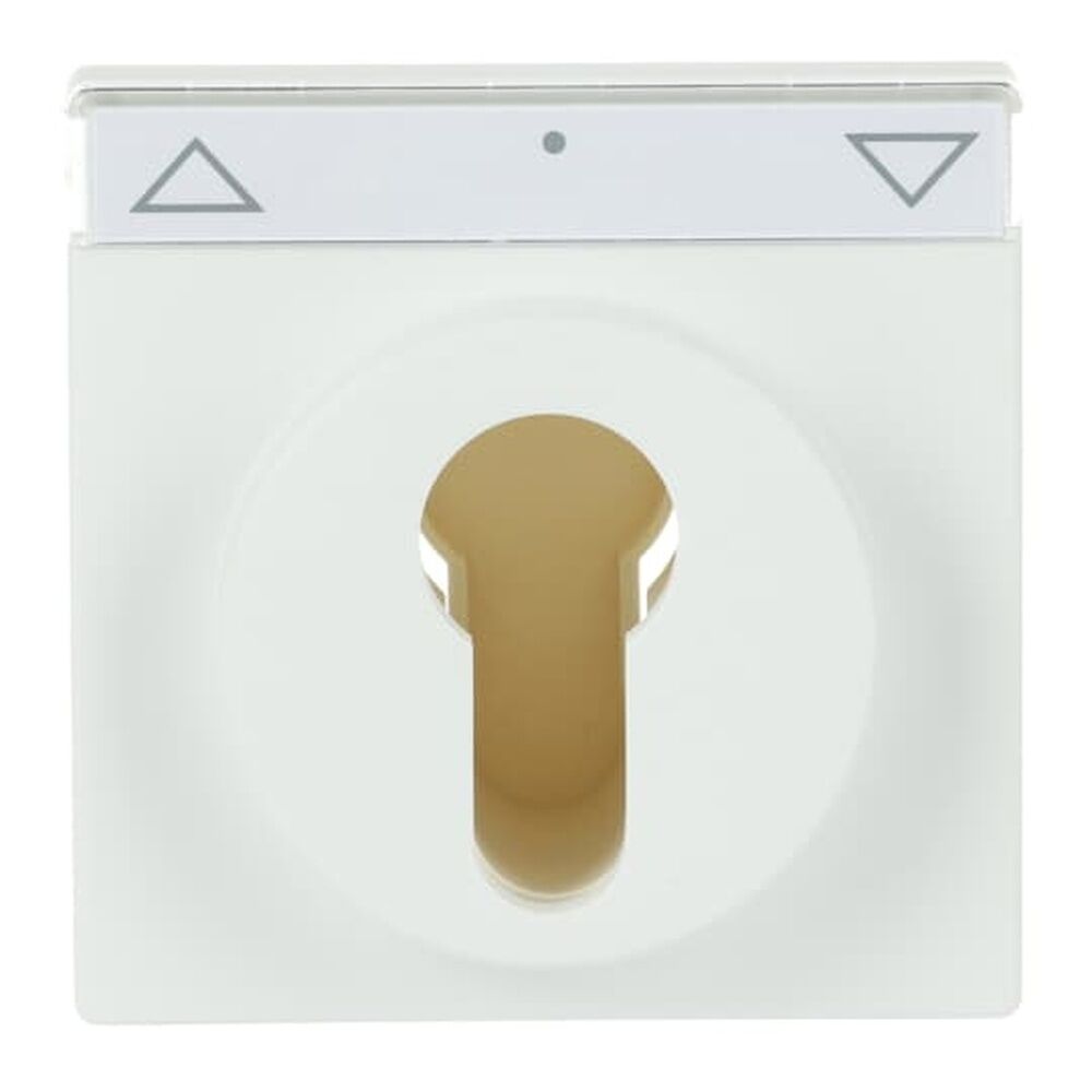 Busch-Jaeger Zentralscheibe 1755 SL/PZ-884-101 Nr. 2CKA001710A3925 