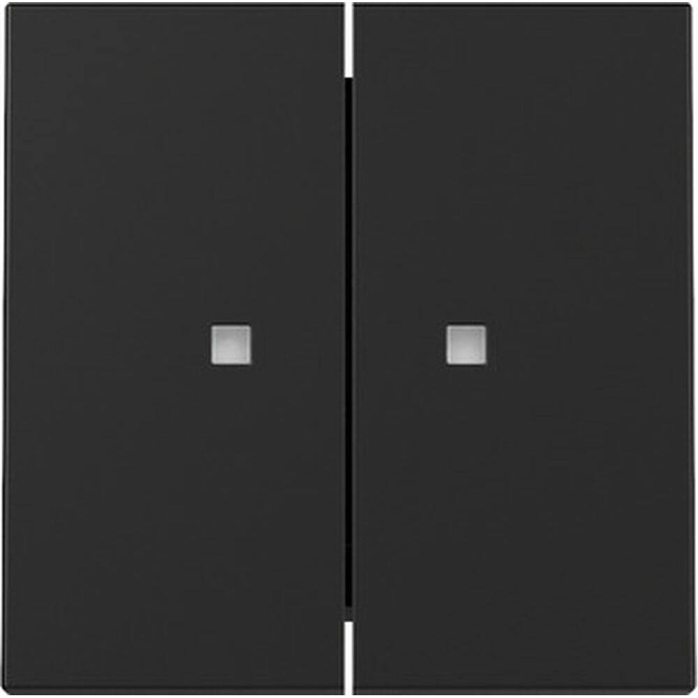 Gira Wippe 2fach 3631005