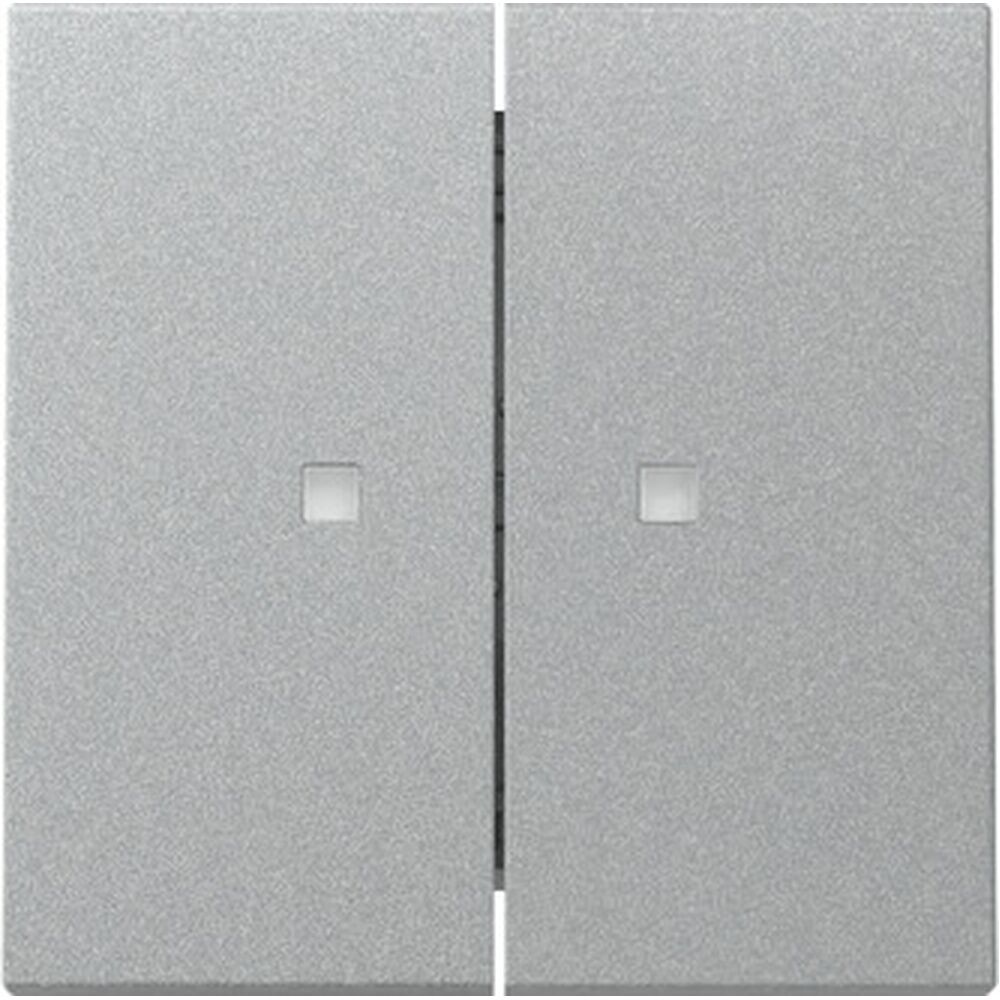 Gira Wippe 2fach 363126