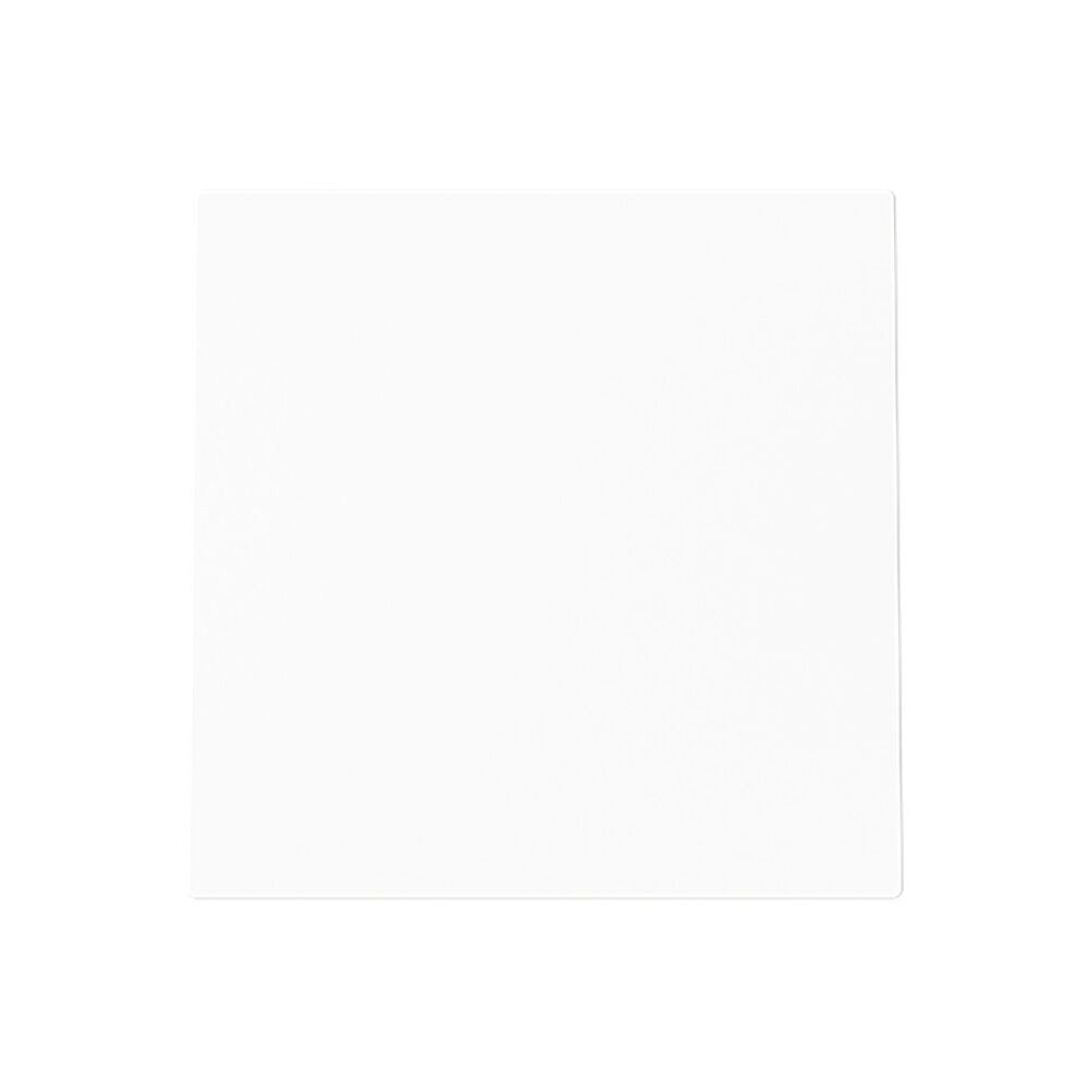 Busch-Jaeger Blindzentralscheibe 1749-44M Typ 2CKA001710A4249