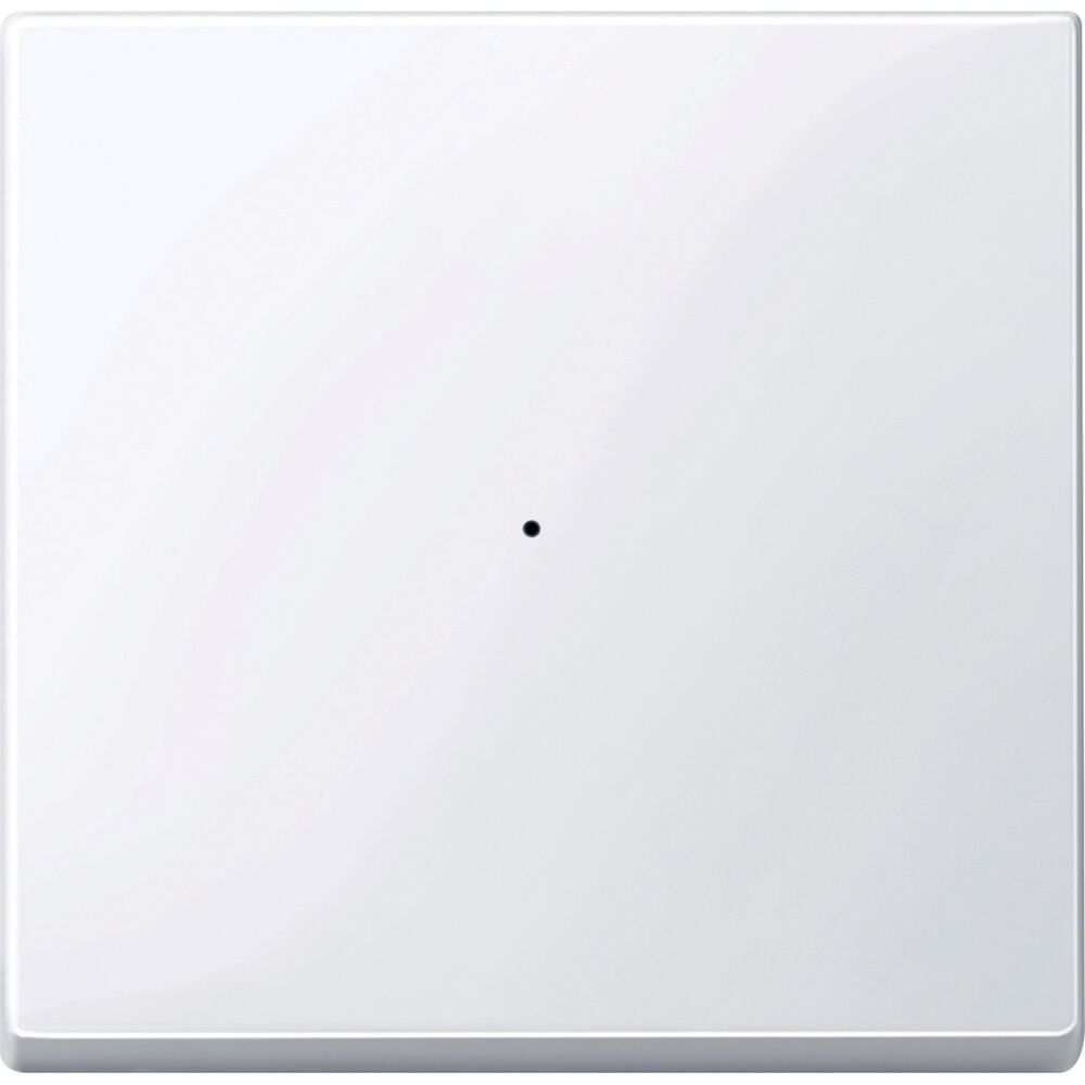 Schneider Electric Wippe MTN619125