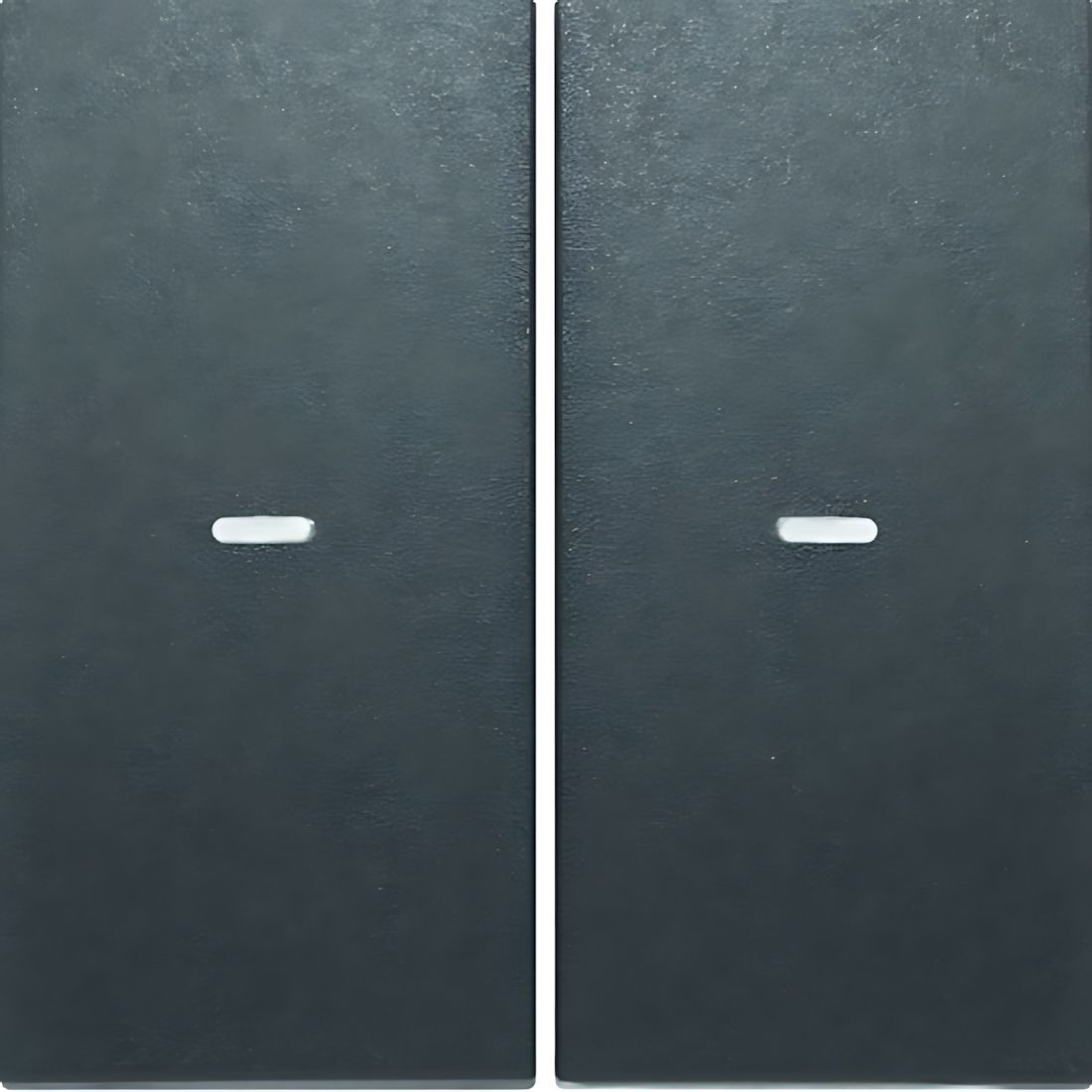 Berker Wippe 80960385