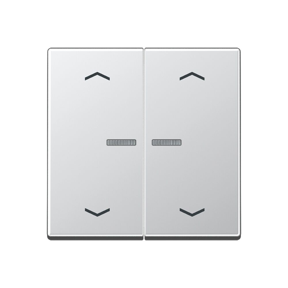 Jung Serienwippe m. Lichtleiter A102KO5PAL