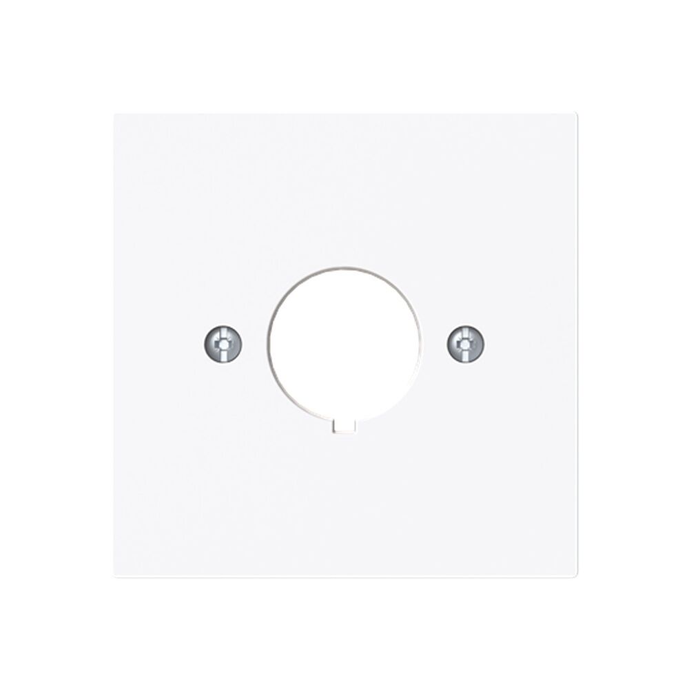 Busch-Jäger Zentralscheibe 2533-44G Nr. 2CKA001724A4444