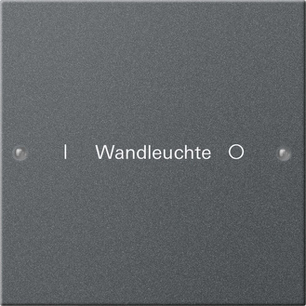 Gira Wippenset 1fach 220128