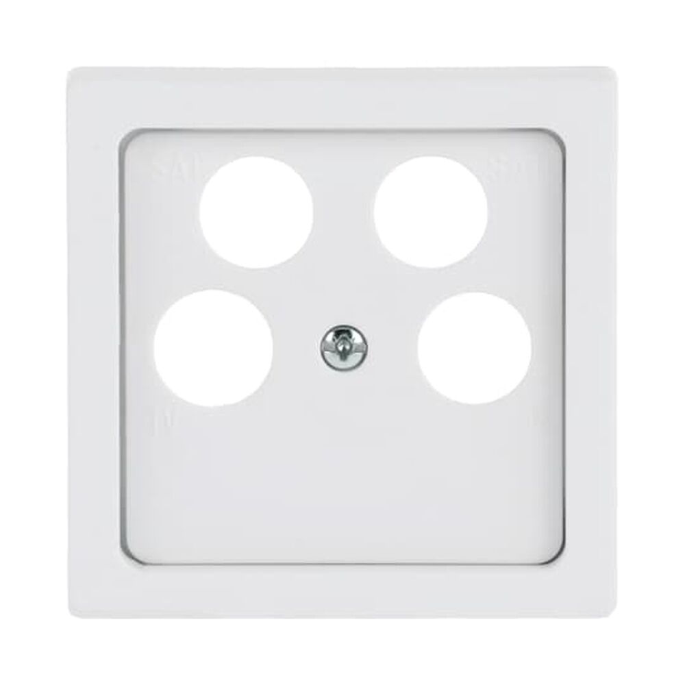 Busch-Jaeger Zentralscheibe 1743/10-04-884 Nr. 2CKA001724A4370