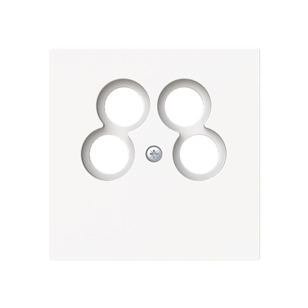 Busch-Jaeger Zentralscheibe 1743/10-04-44M Typ 2CKA001724A4441