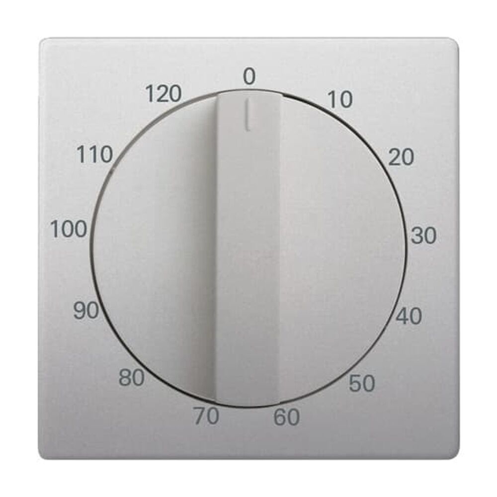 Busch-Jaeger Zentralscheibe 1771-866-103 Nr. 2CKA001753A0302 