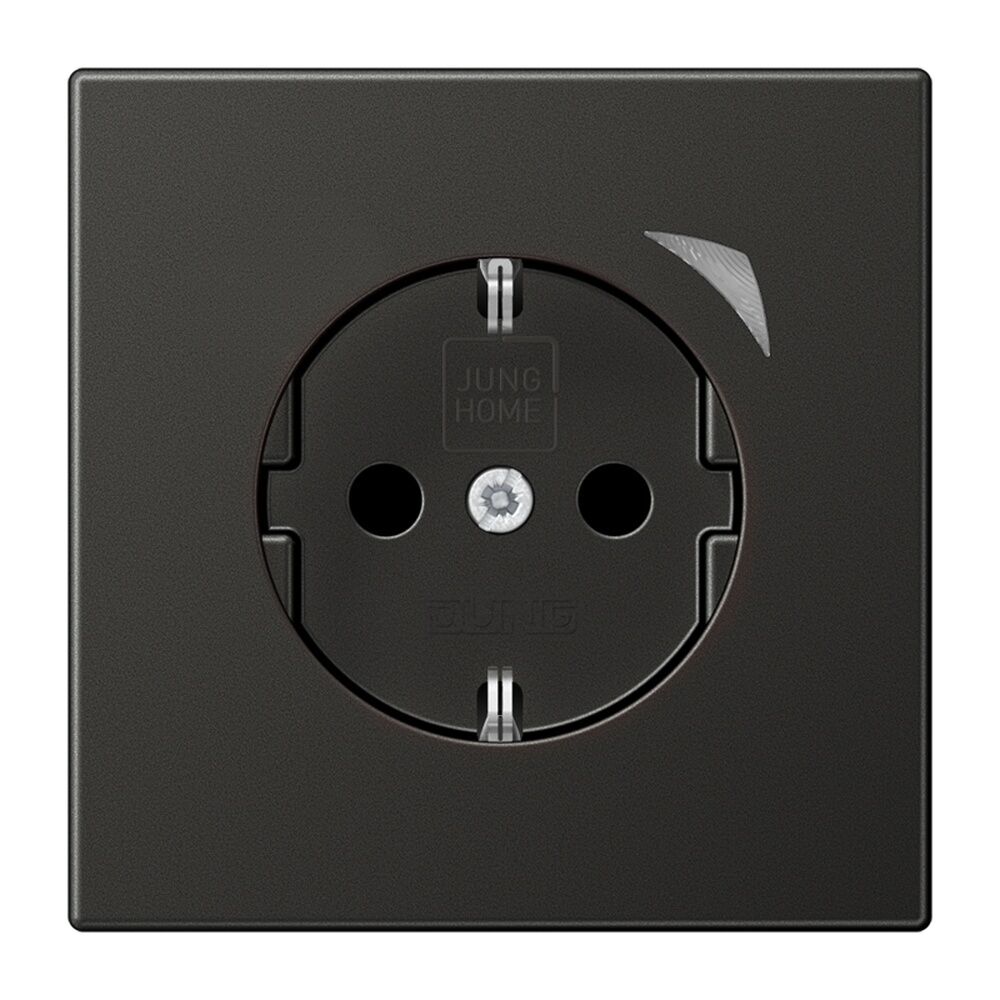Jung JUNG HOME SCHUKO Steckdose BTAL1521SEAN-L