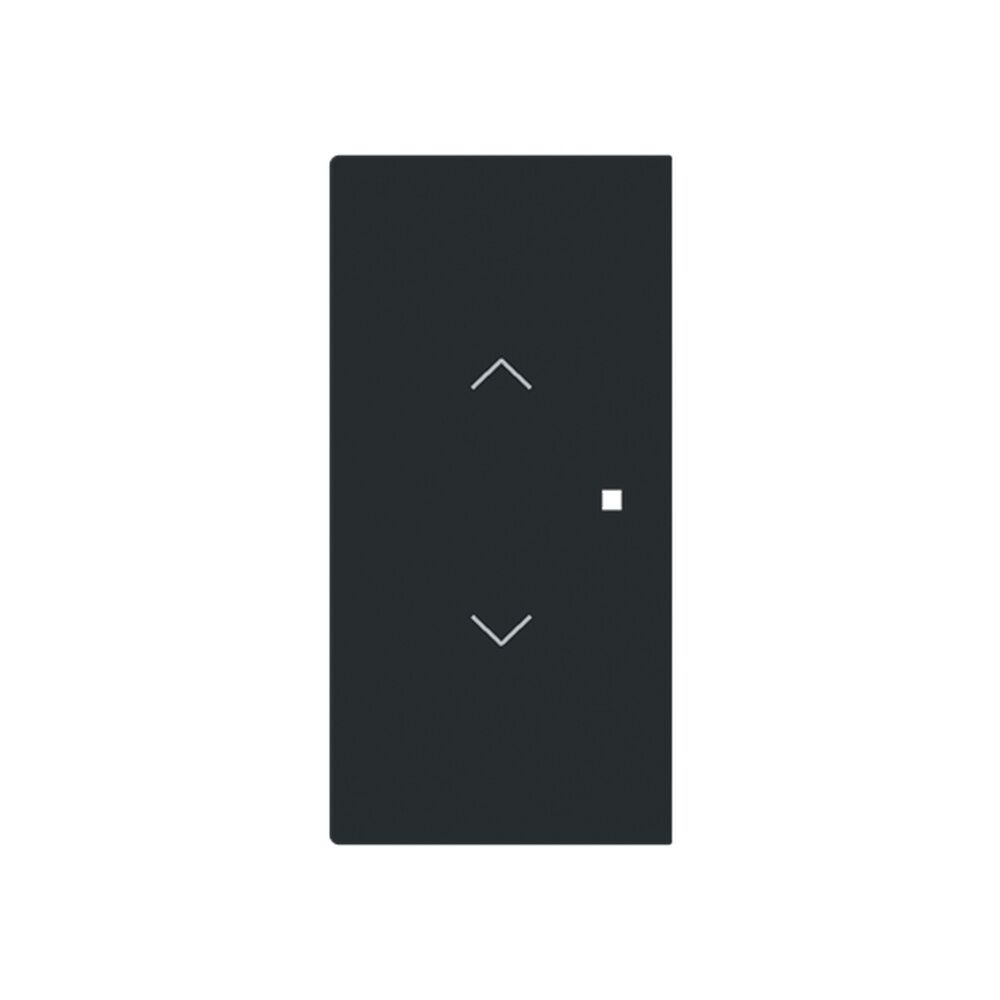 Busch-Jaeger Wippe 6232-20-45M Typ 2CKA006220A0967