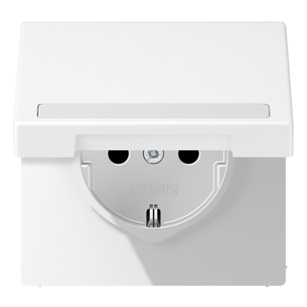 Jung SCHUKO Steckdose LS1520BFNAKLWWM