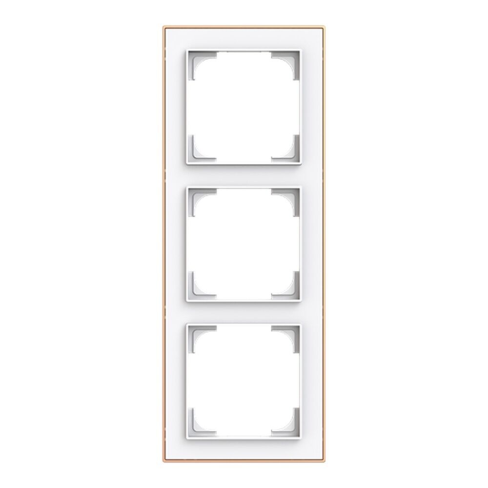 Busch-Jäger Rahmen 1723-441M Nr. 2CKA001754A4914