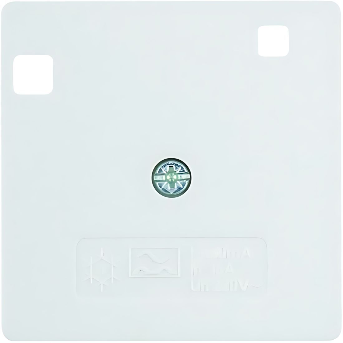 Berker Zentralstück 14961909 