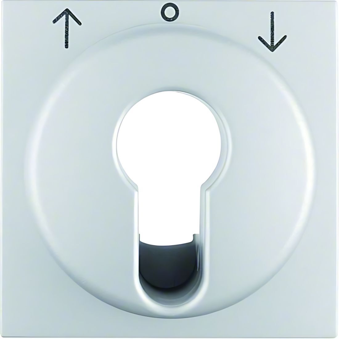 Berker Zentralstück 15061404