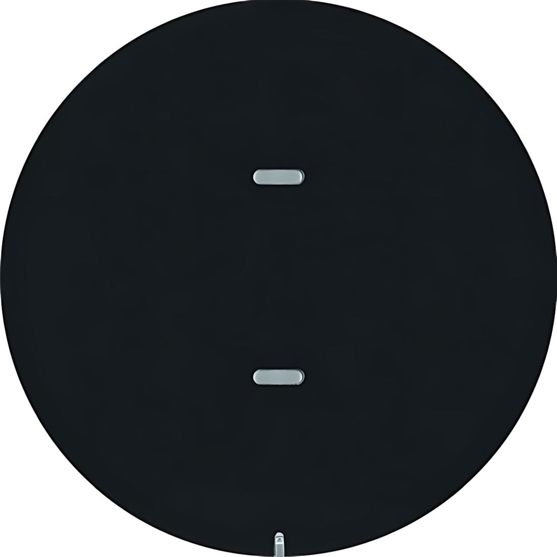 Berker Tastsensor 80161865