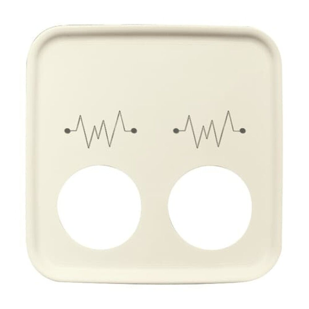 Busch-Jaeger Zentralscheibe 2548-021 G-212 Nr. 2CKA001724A2699