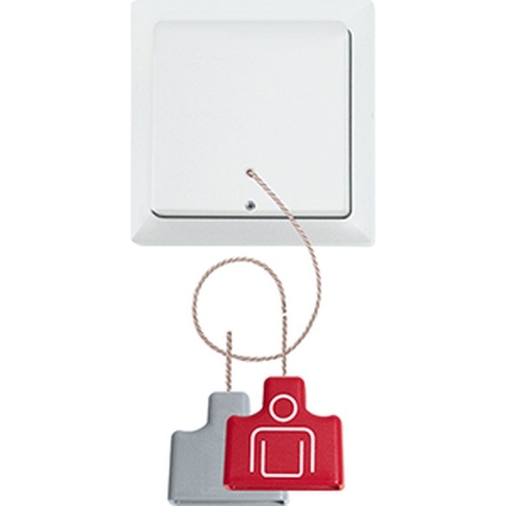 ELTAKO Funksensor 30067545 Typ FZS65-wg