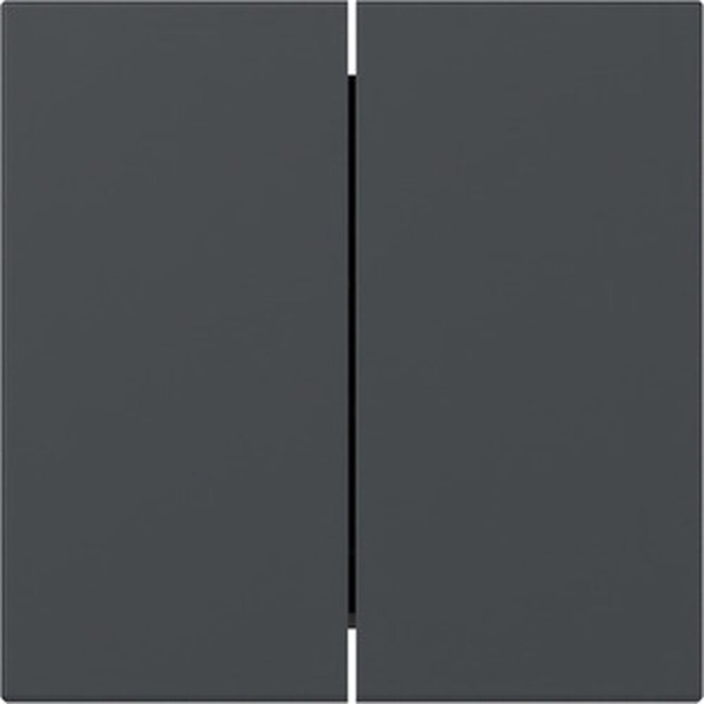 Gira Wippe 2fach 349528