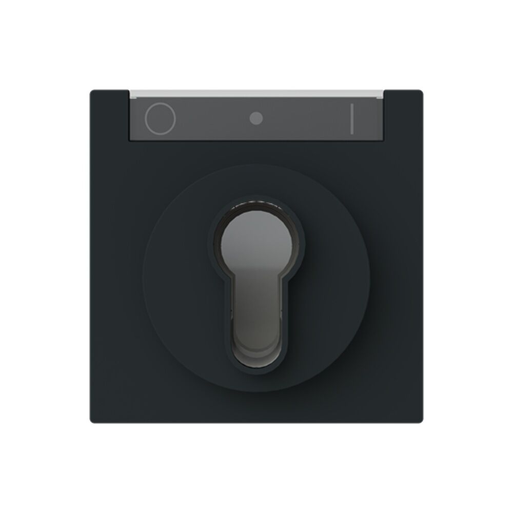 Busch-Jäger Zentralscheibe 1755 SL/PZ-45M Nr. 2CKA001710A4160