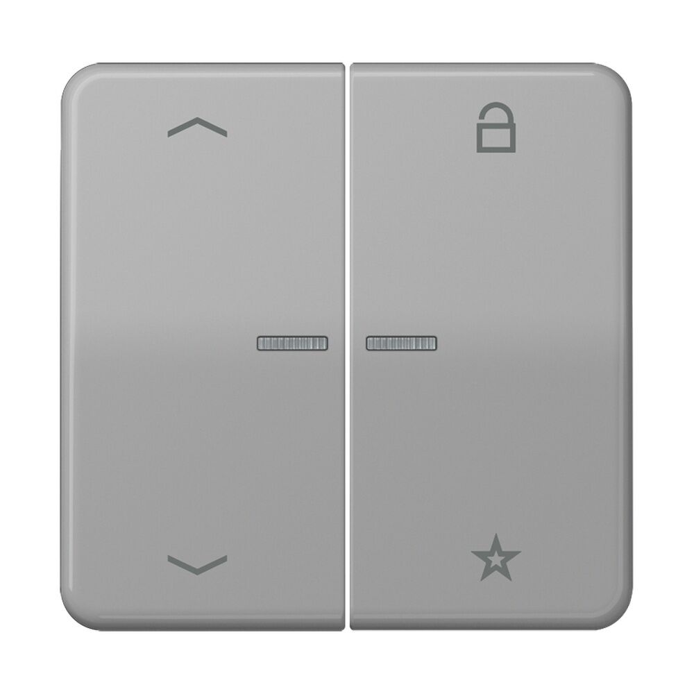 Jung eNet Funk Steuertaste FMCD1701PGR