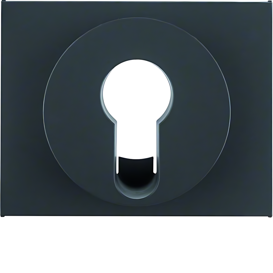 Berker Zentralstück 15057006 