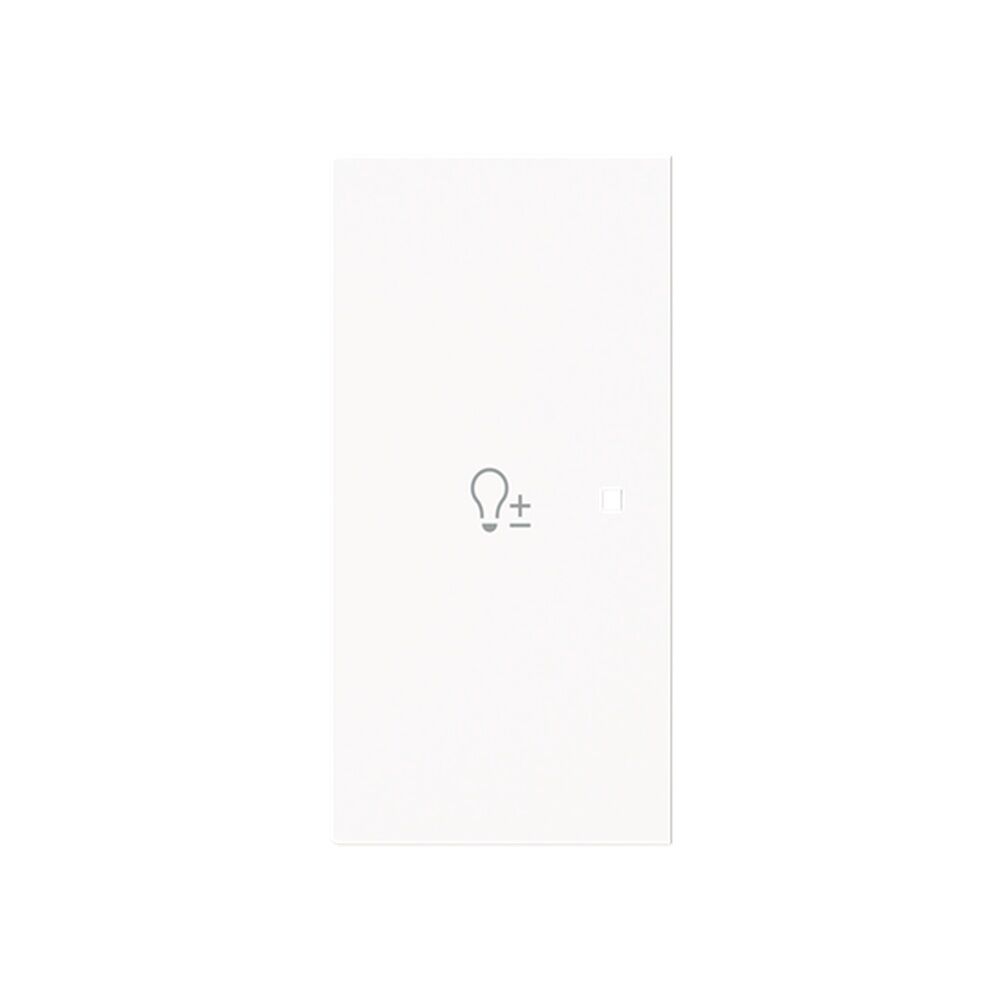 Busch-Jaeger Wippe 6234-21-44G Typ 2CKA006220A0956 