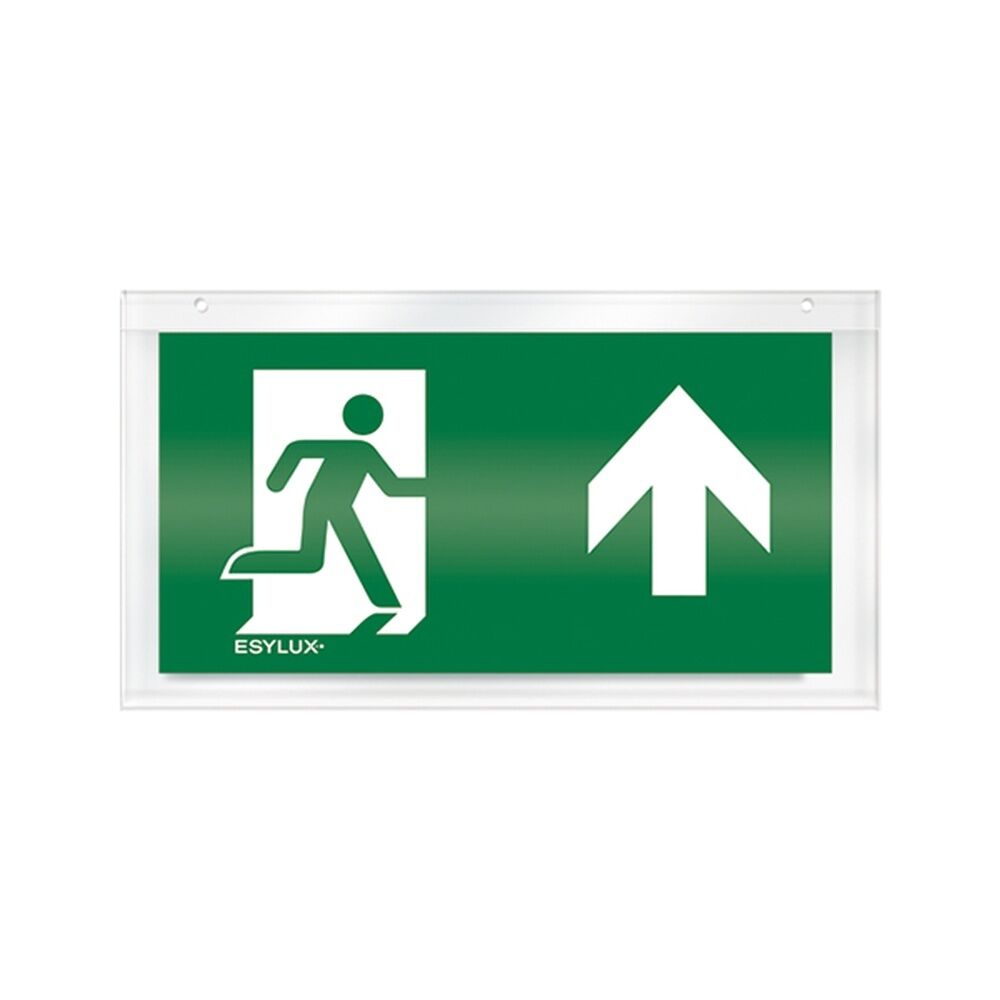 ESYLUX Piktogrammscheibe EN10032509 Typ Piktogramm-Scheibe 32 einseitig oben 