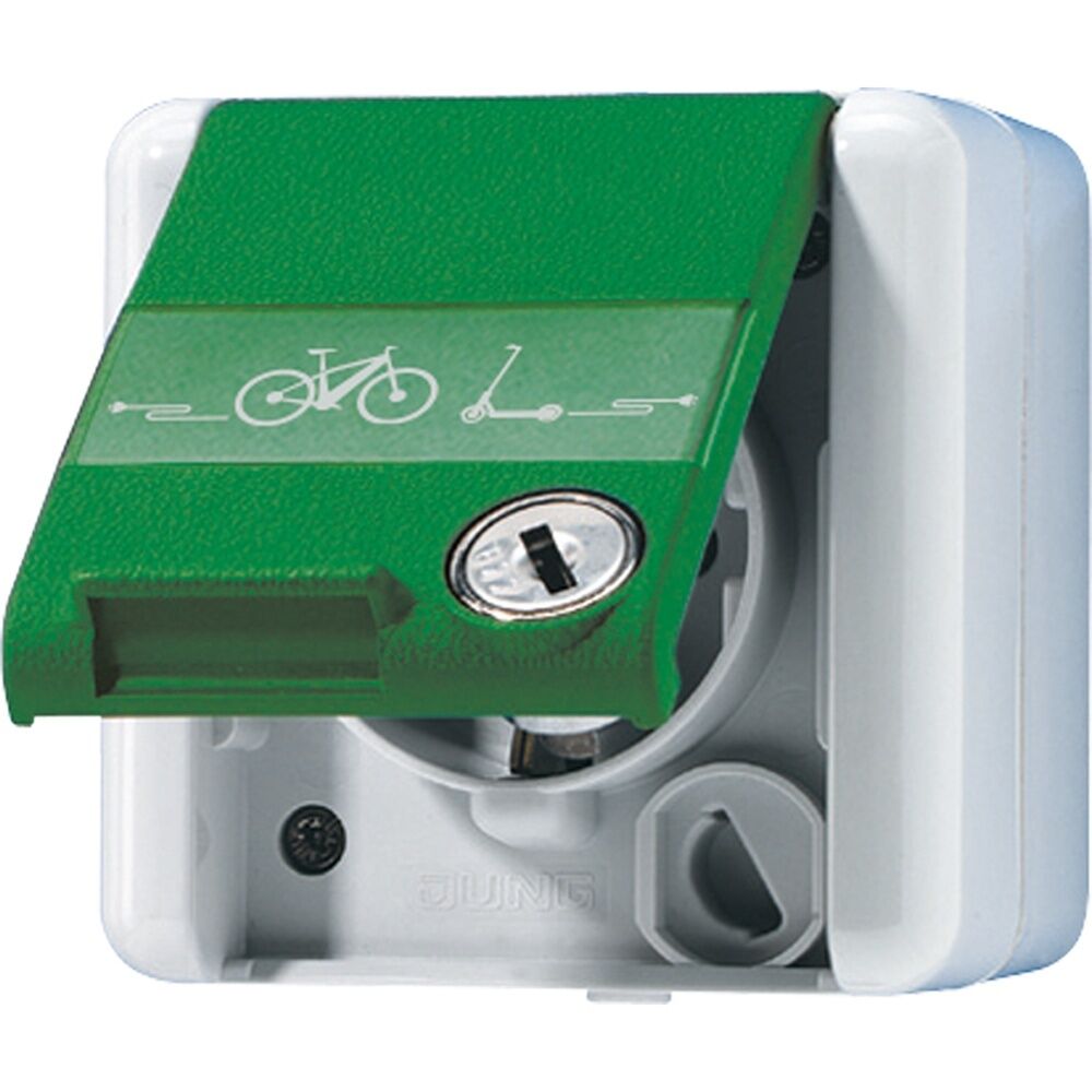 Jung SCHUKO® Zweifach Steckdose 820GNNAWSLEB