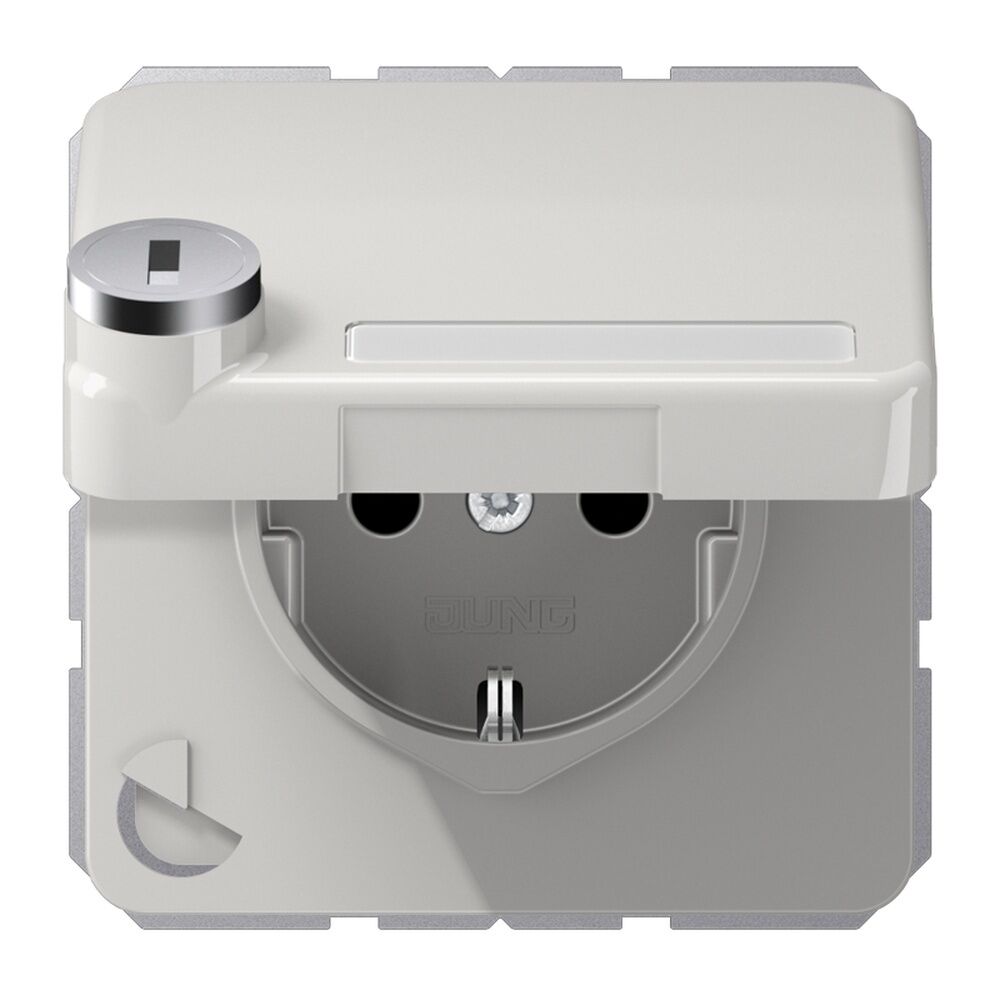 Jung Schutzkontakt Steckdose CD 1520 NAKLSL LG