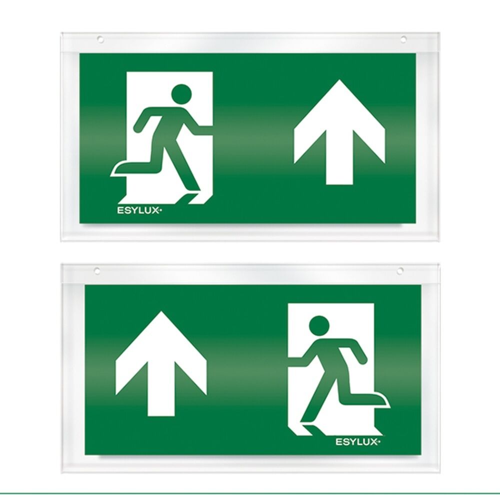 ESYLUX Piktogrammscheibe EN10032554 Typ Piktogramm-Scheibe 24 zweiseitig oben/oben 