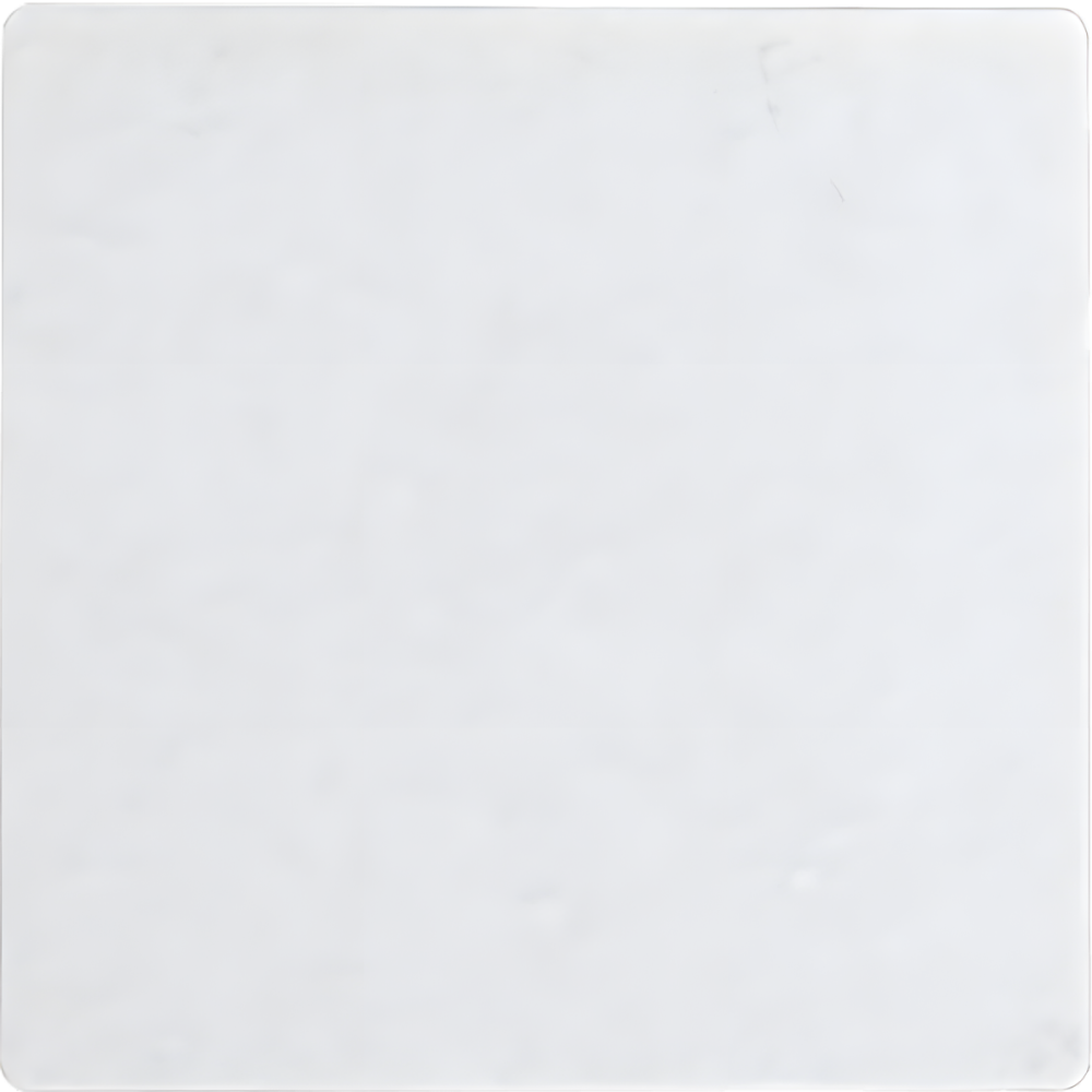 ELTAKO Wippe Funktaster 30055970 Typ W-F2T55E/10-wg