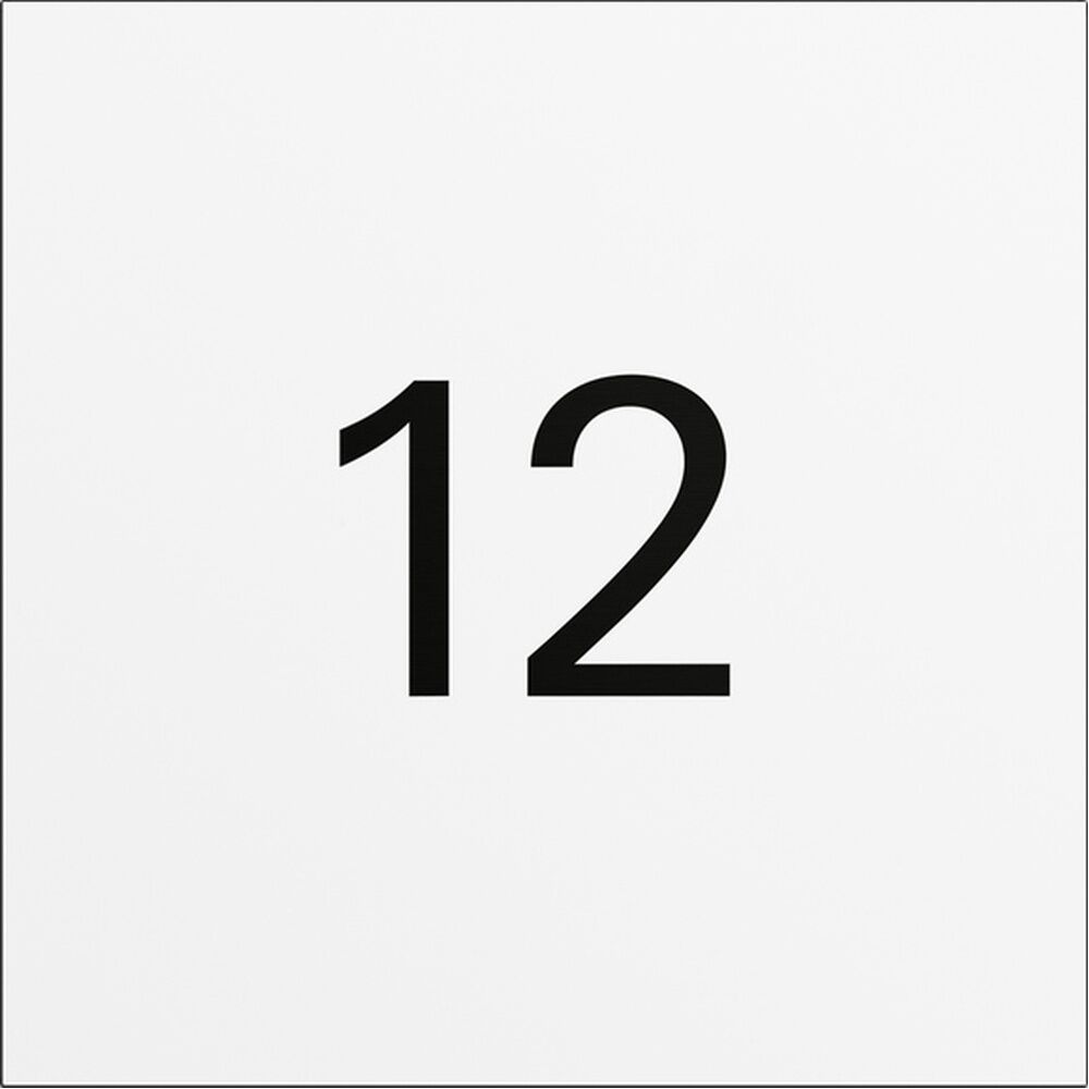 Gira Infomodul Türstation 5560902