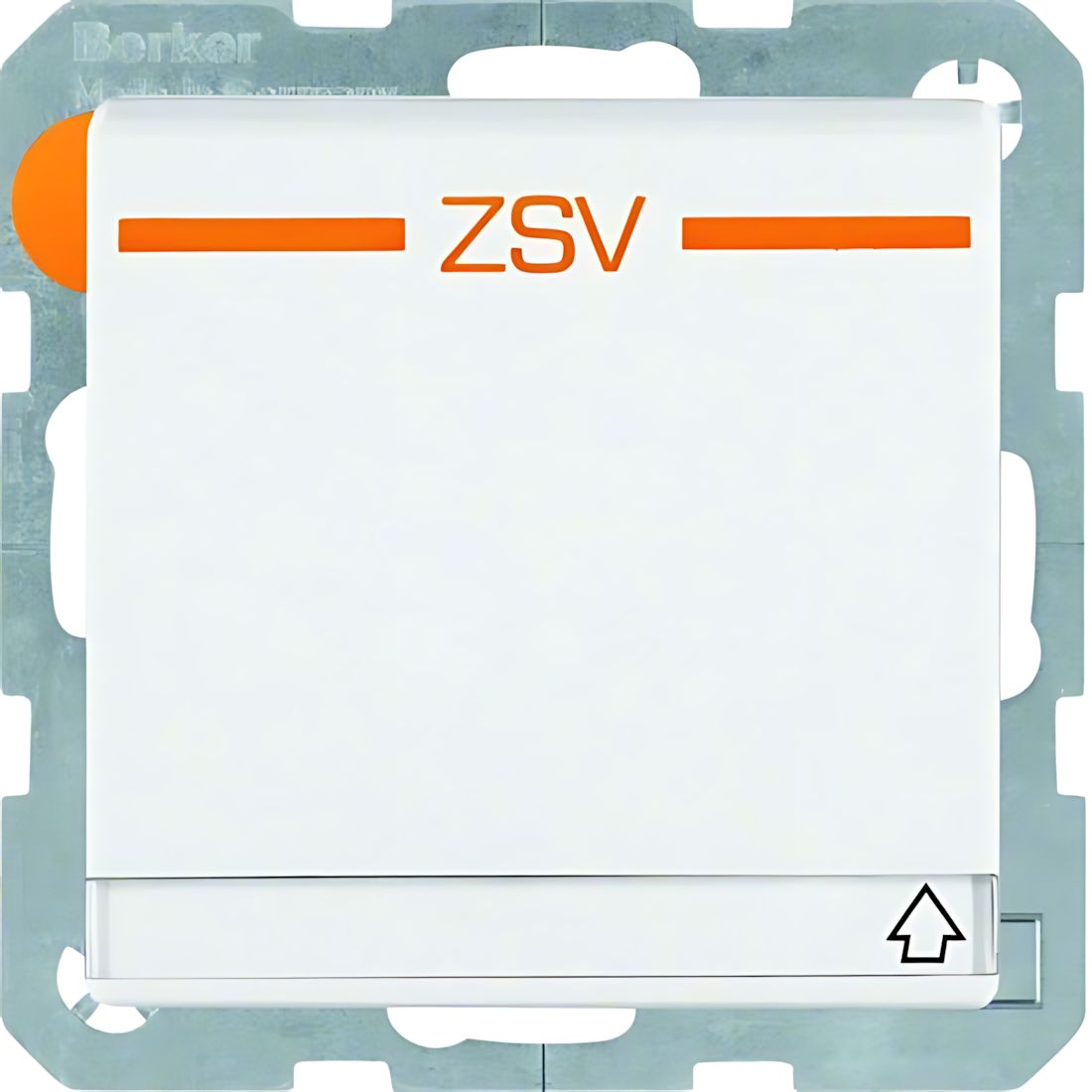 Berker Steckdose 47526049 