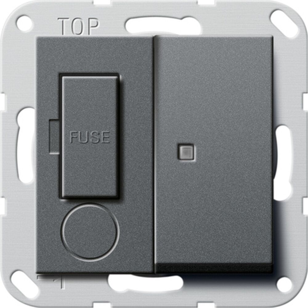 Gira Fused outlet Kontroll 278728