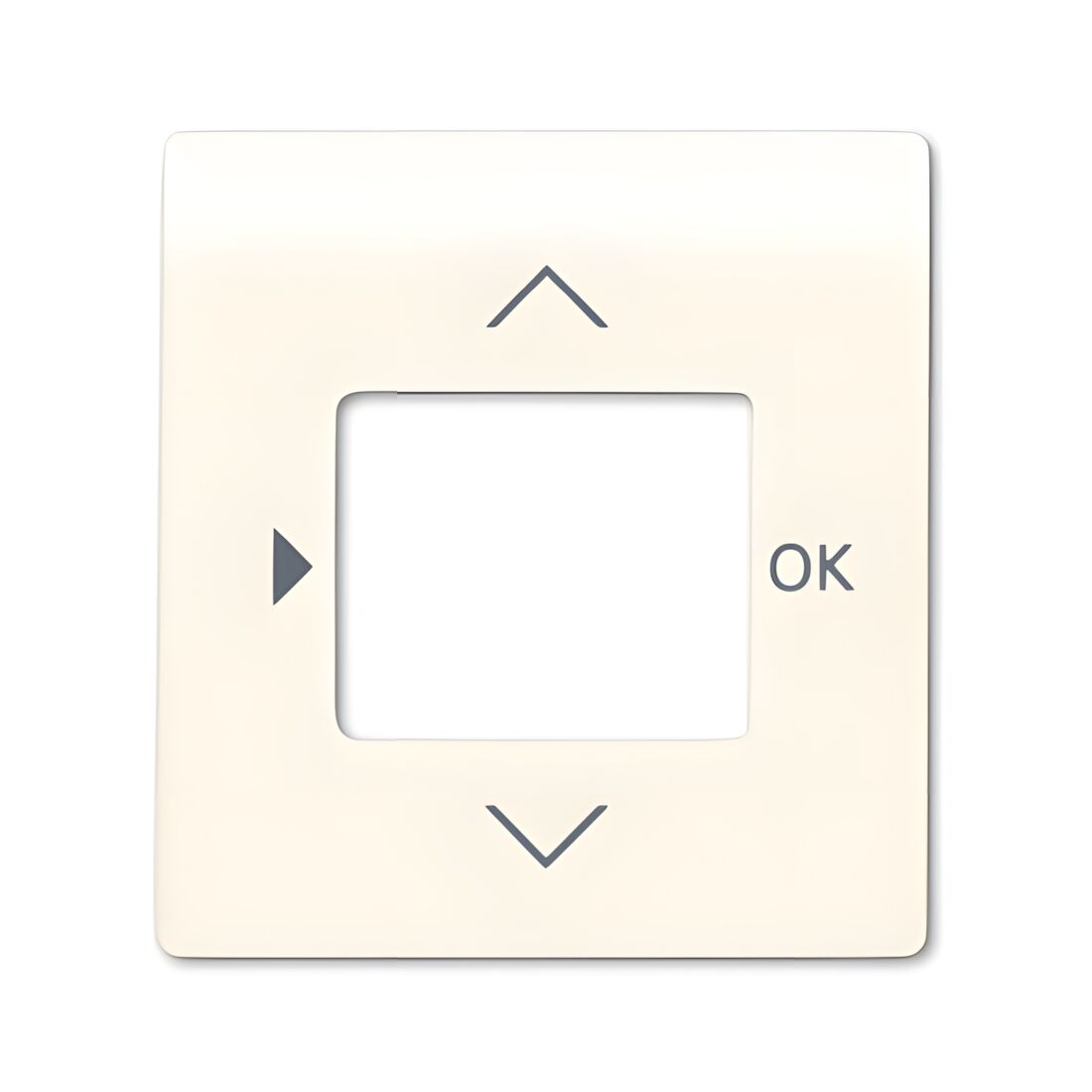 Busch-Jaeger Zentralscheibe 6435-72 Nr. 2CKA006430A0341