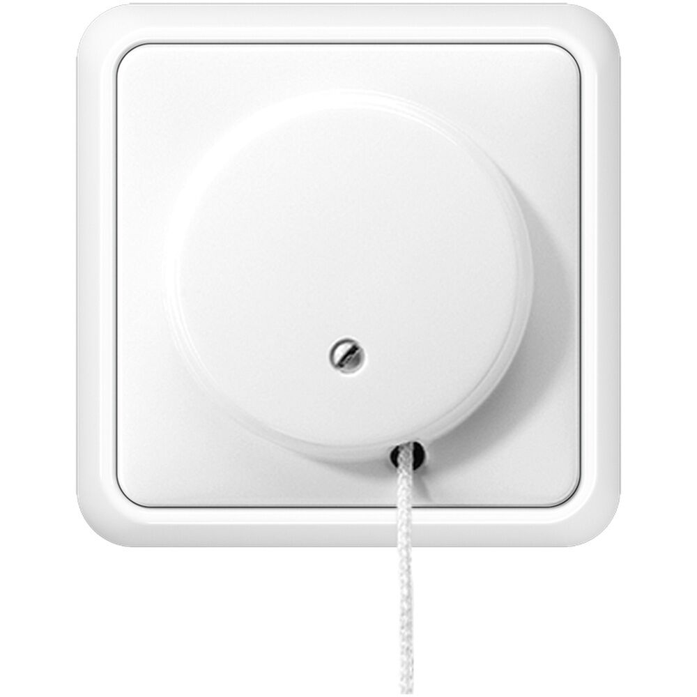 Jung Zug Wechselschalter 5506 ZU WW