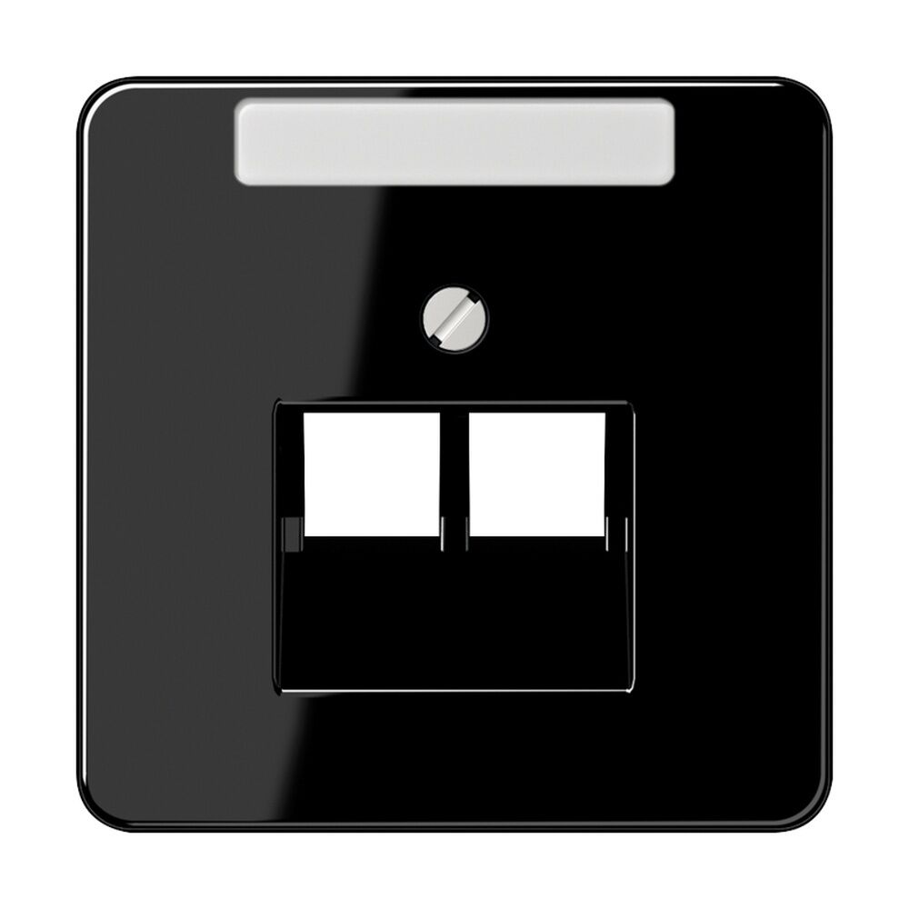 Jung Abdeckung IAE/UAE CD 569-2 NAUA SW