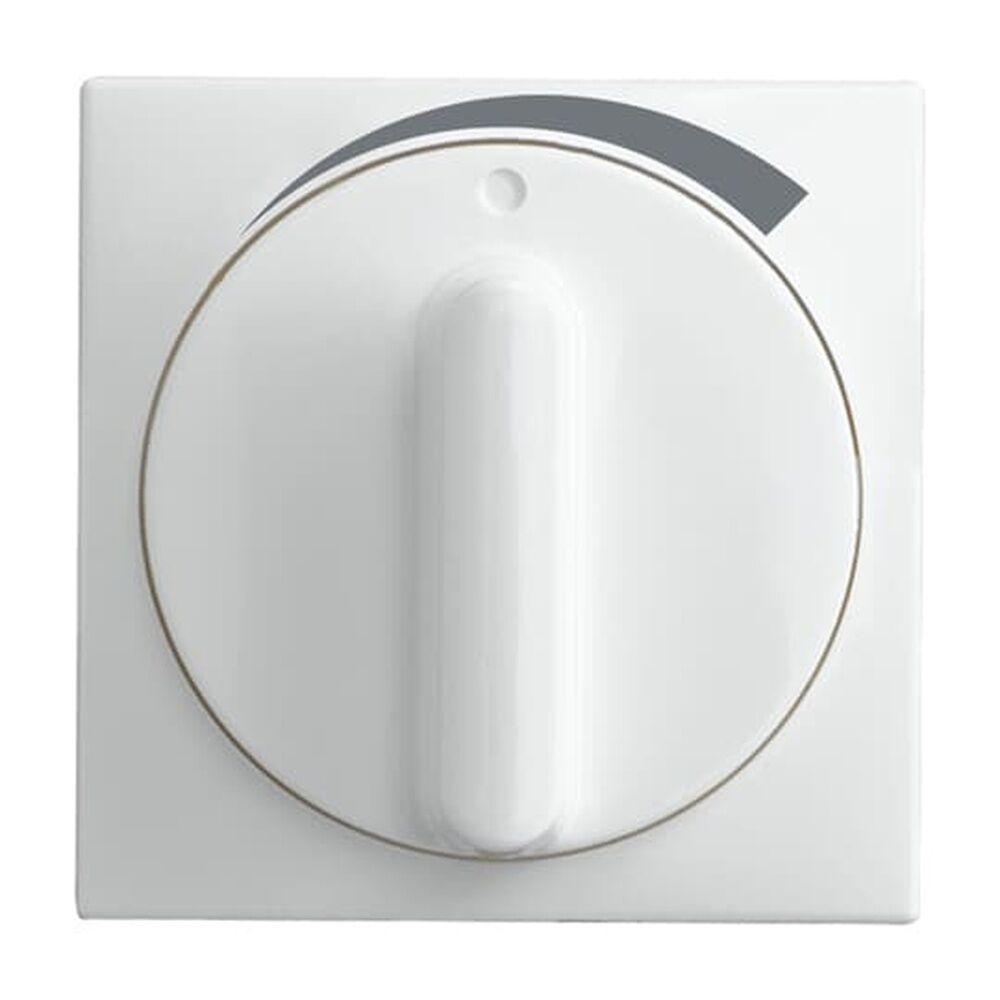 Busch-Jaeger Zentralscheibe 1740 DR/03-914 Nr. 2CKA001710A4101 