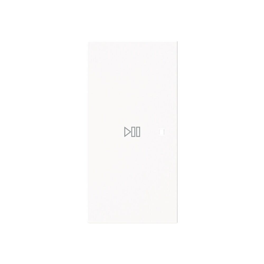 Busch-Jaeger Wippe 6237-21-44M Typ 2CKA006220A0977 