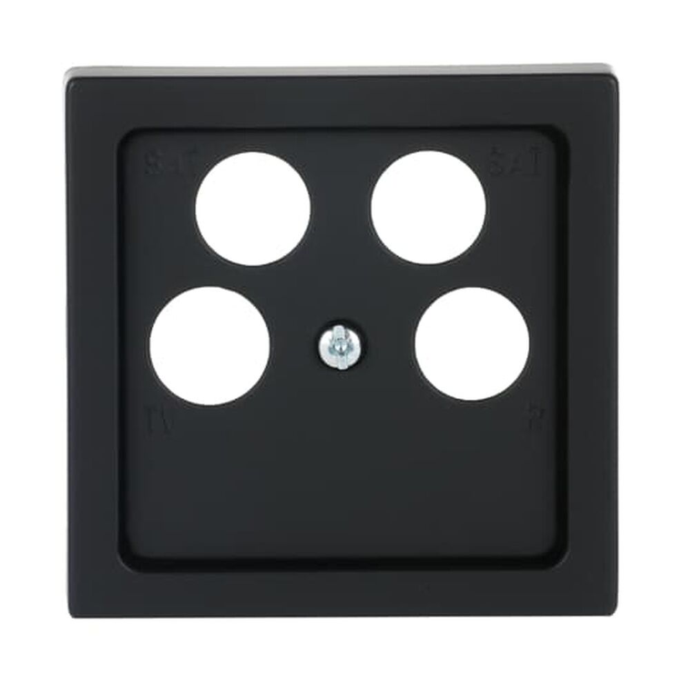 Busch-Jaeger Zentralscheibe 1743/10-04-885 Nr. 2CKA001724A4371