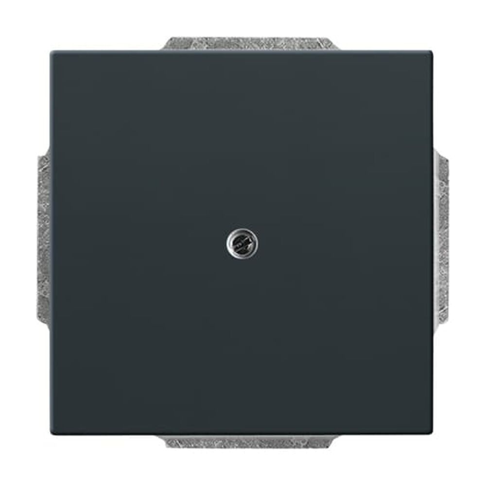 Busch-Jaeger Blindzentralscheibe 1742-81 Nr. 2CKA001710A3612