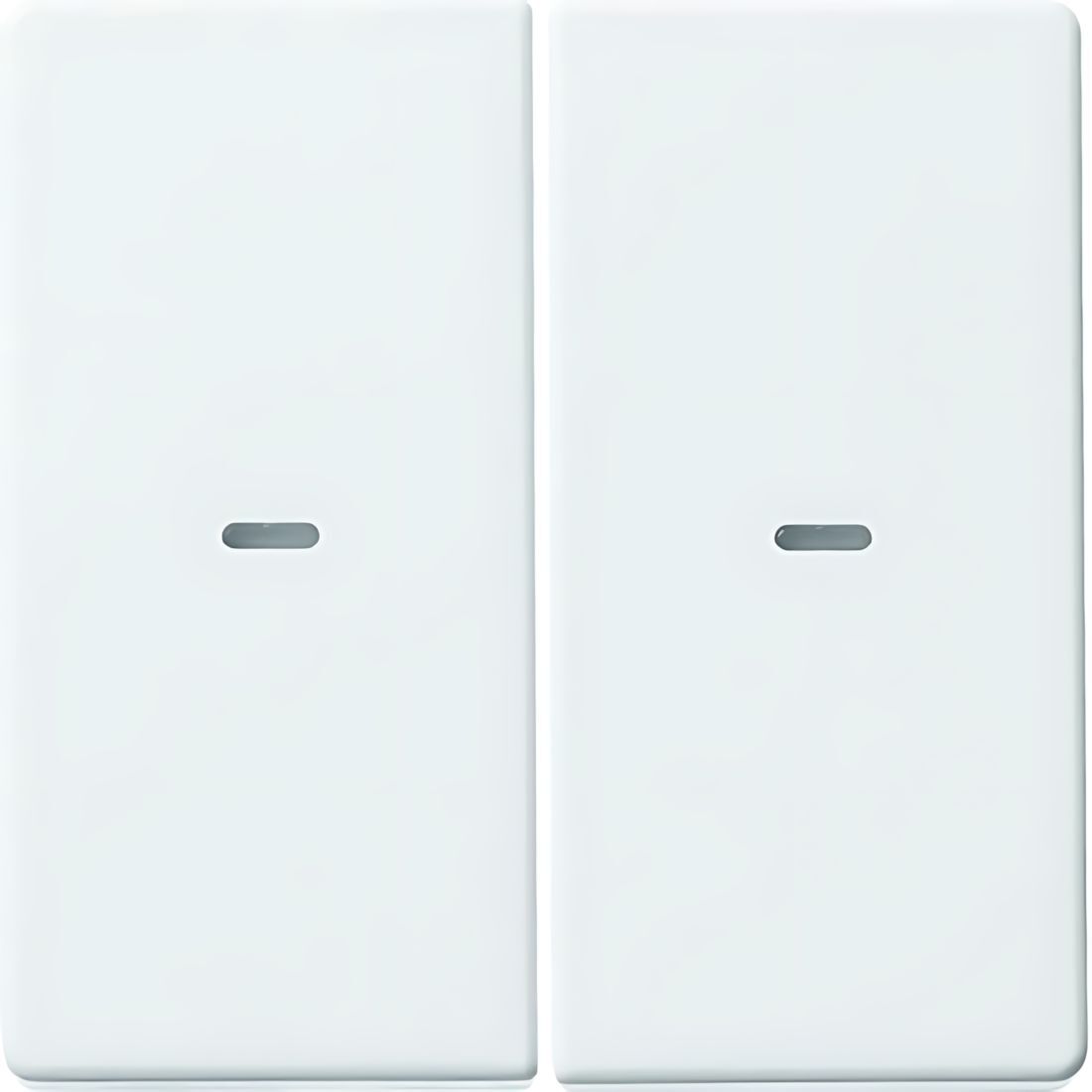 Berker Wippe 80960329