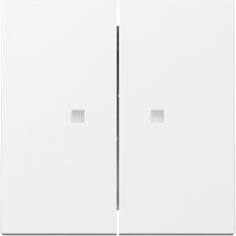 Gira Wippe 2fach 363103