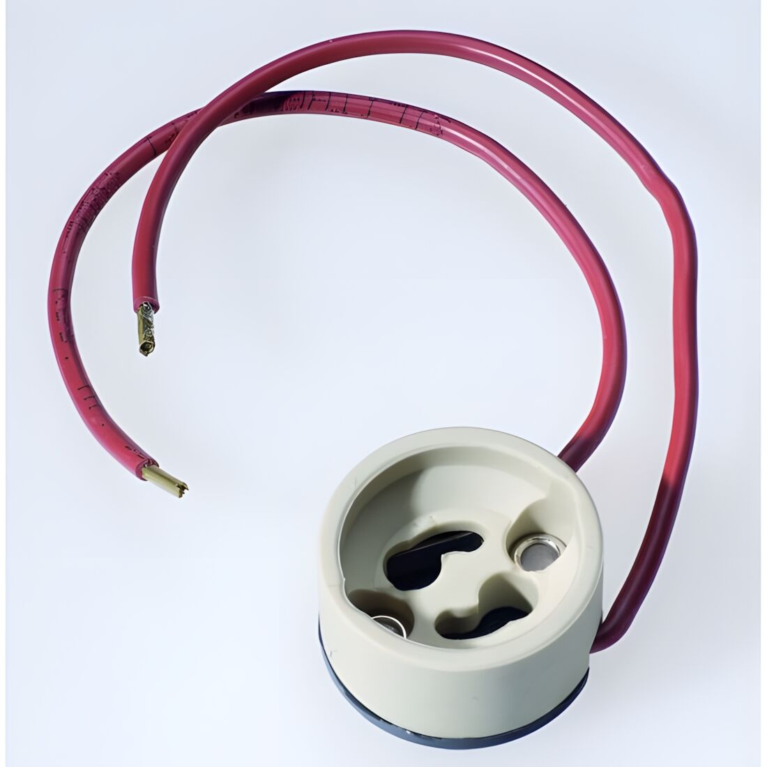 Schaum Halofassung 231026