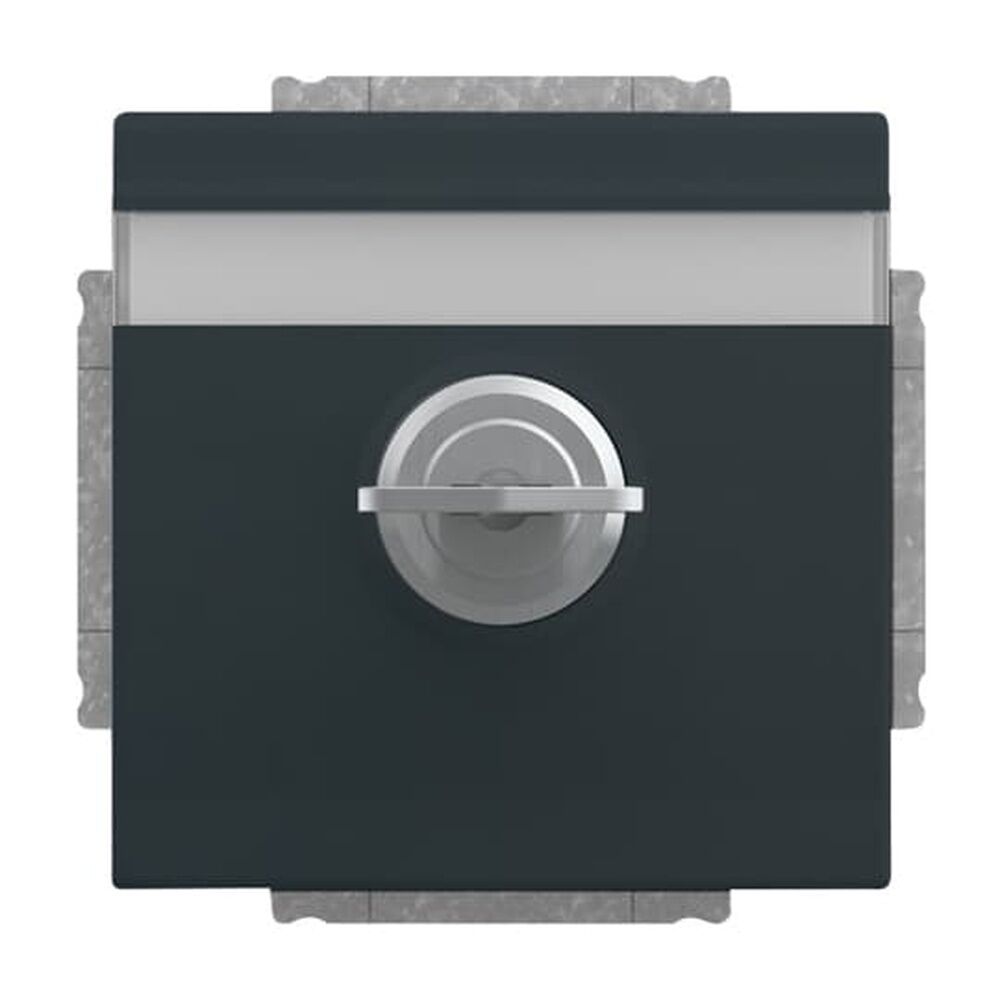 Busch-Jaeger SCHUKO Steckdosen Einsatz 20 EUKNBSL-81 Nr. 2CKA002018A1557