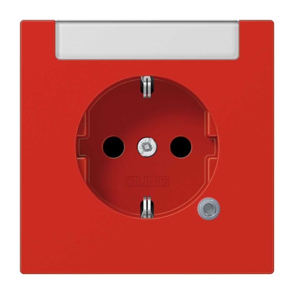 Jung SCHUKO Steckdose LS1520INAKORT
