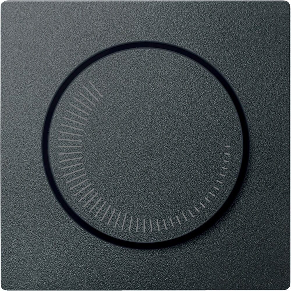 Merten Zentralplatte MEG5251-0414