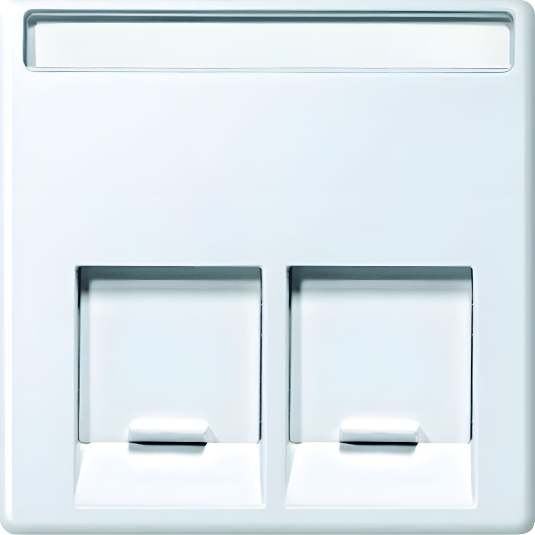 Merten Zentralplatte MEG4574-0419