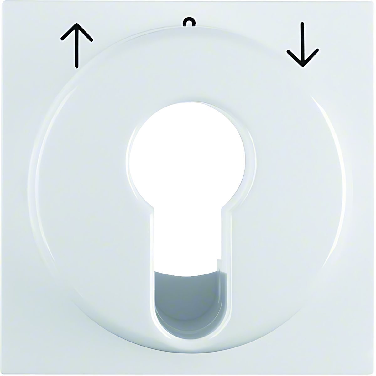 Berker Zentralstück 15088989