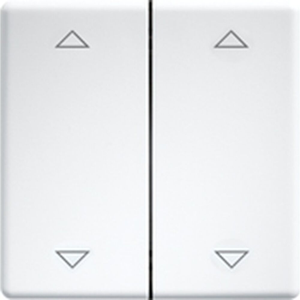 ELTAKO Doppelwippen 30000986 Typ DW-FT55-rw+2P